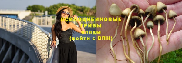таблы Белокуриха