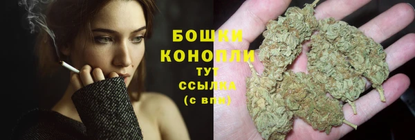 таблы Белокуриха